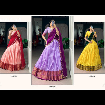 Lehenga with border - BNL815