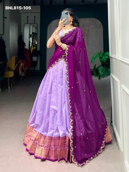 Lehenga with border - BNL815