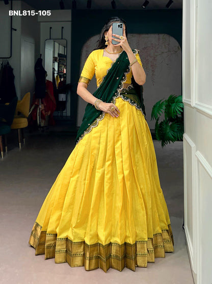Lehenga with border - BNL815