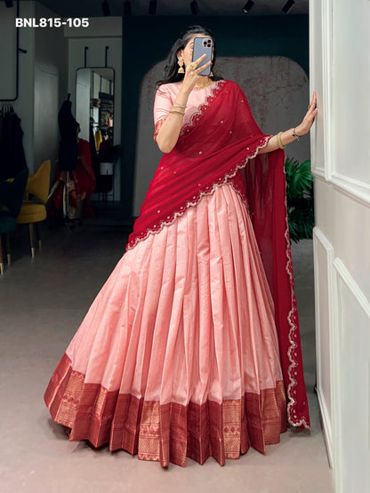 Lehenga with border - BNL815