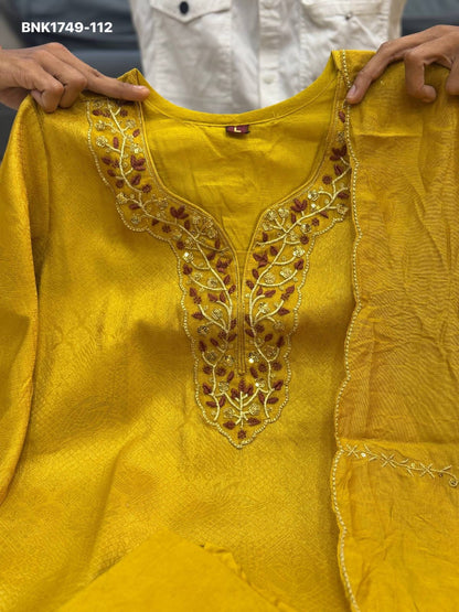 Pure Soft Kanjivaram Glass Tissue - BNK1749