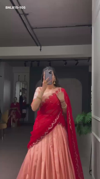 Lehenga with border - BNL815