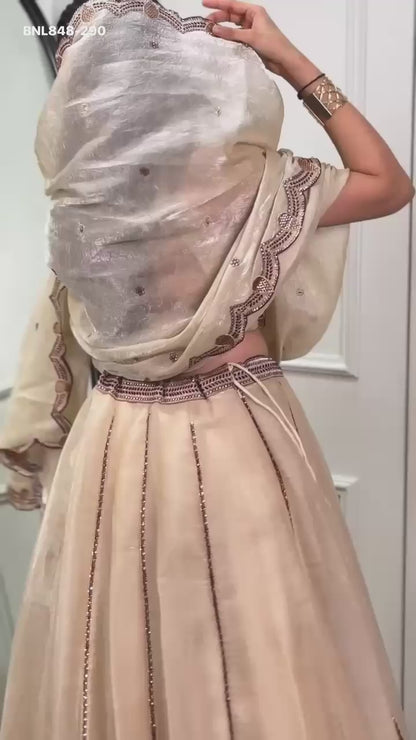 Lehenga  Spider crush with Sequins and Thread Embroidery Wok - MNL848